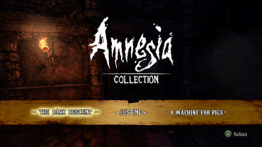 Amnesia Collection