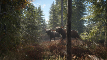 theHunter: Call of the Wild - Seasoned Hunter Bundle (Steam)