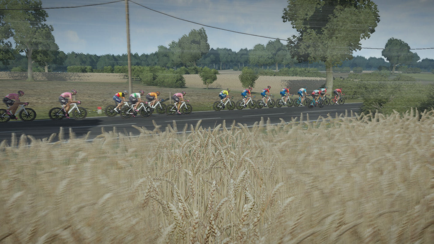 Tour de France 2024 (Steam)