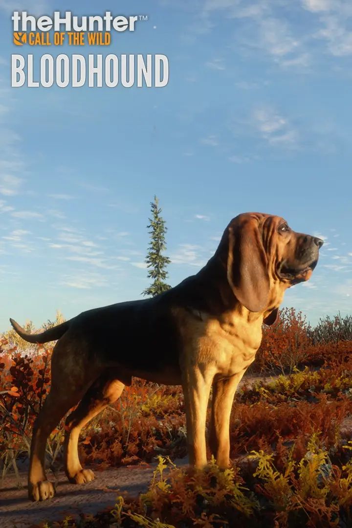 theHunter: Call of the Wild - Bloodhound (DLC)