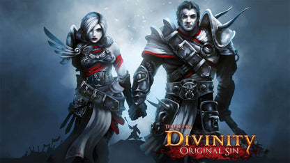 Divinity: Original Sin - Source Hunter DLC Steam CD Key