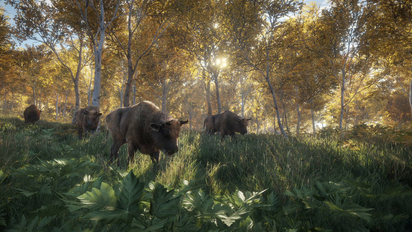 theHunter: Call of the Wild 2019 Edition