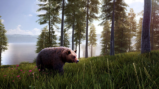 Hunting Simulator 2 - Bear Hunter Pack (DLC) (Steam)