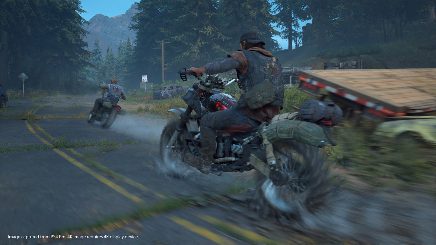 Days Gone (EU)