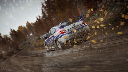 DiRT 4 (EU)