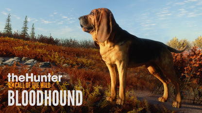 theHunter: Call of the Wild - Bloodhound (DLC)