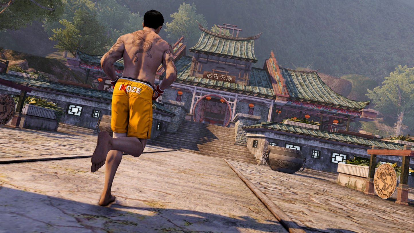 Sleeping Dogs (Definitive Edition) (EU)