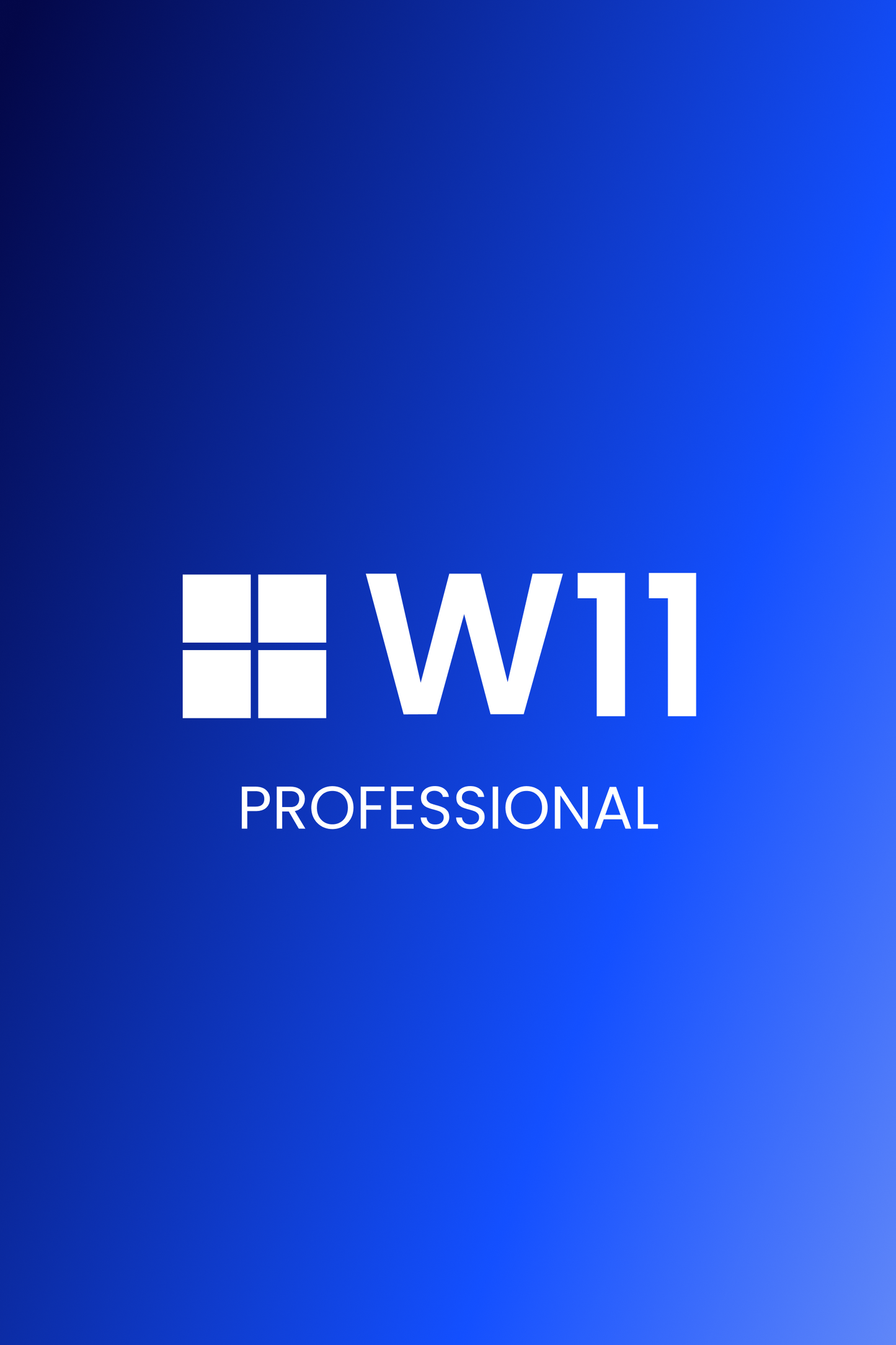 Windows 11 Professional (OEM)