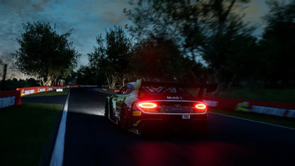 Assetto Corsa Competizione (Ultimate Edition) (Steam)