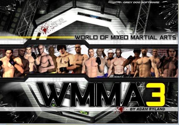 World of Mixed Martial Arts 3