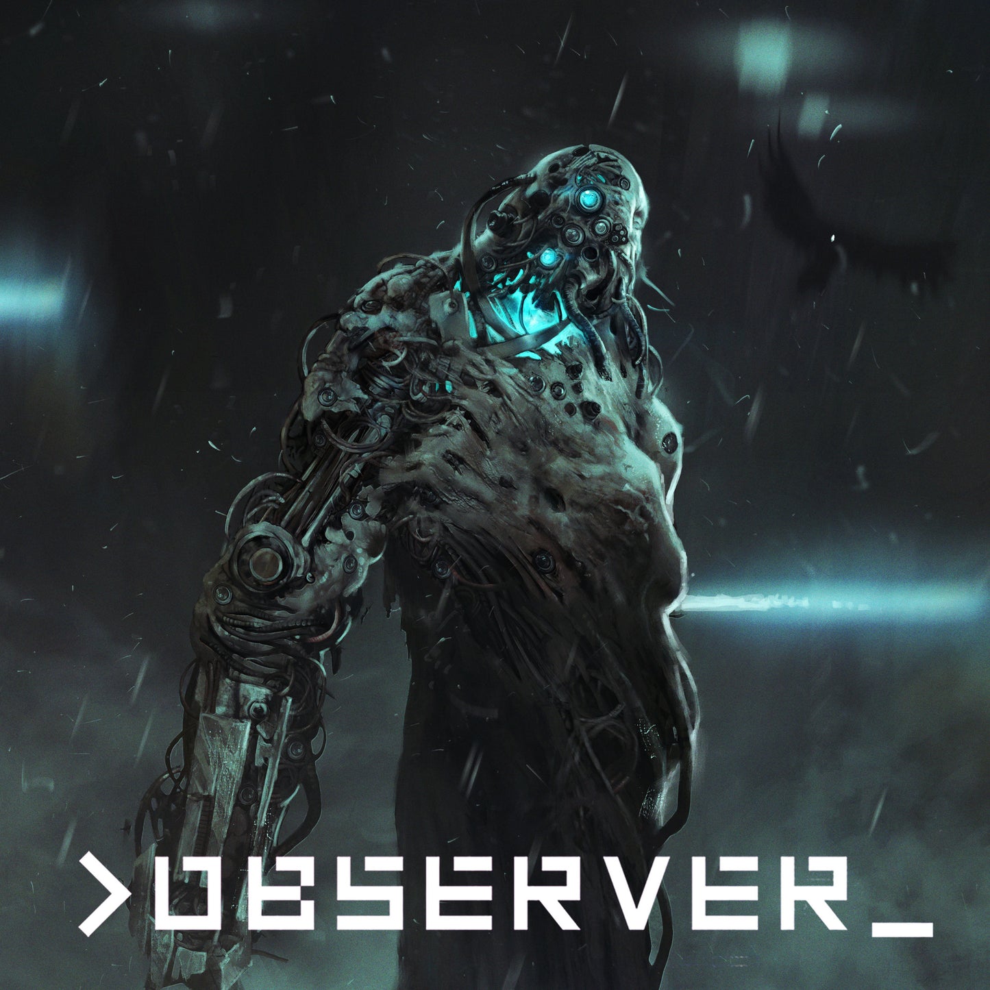 &gt;observer_ (EU)