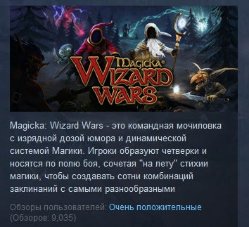 Magicka: Wizard Wars - Paradox Playtpus Robe DLC Steam CD Key