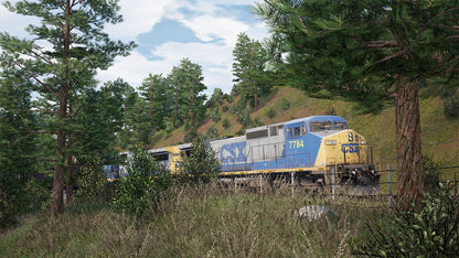 Train Sim World 2: CSX C40-8W Loco Add-On (DLC) (Steam)