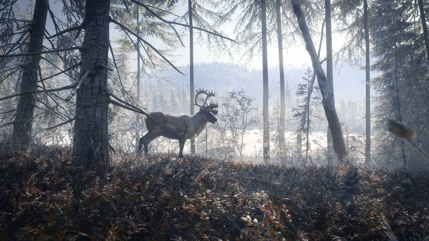 theHunter: Call of the Wild - High-Tech Hunting Pack (DLC)