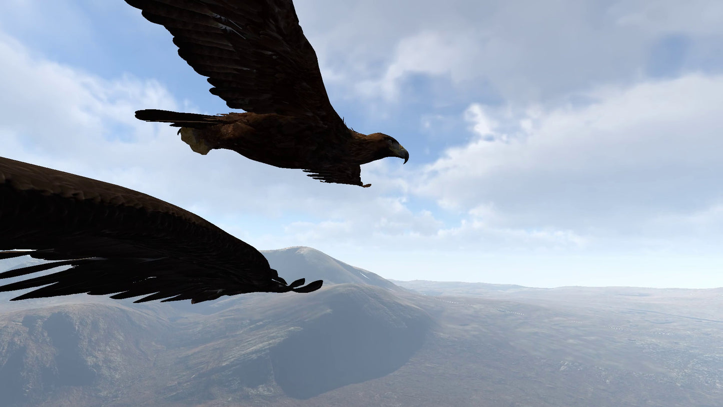 Aquila Bird Flight Simulator [VR]