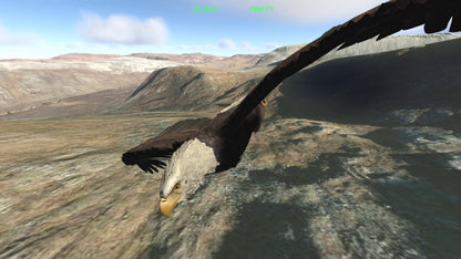 Aquila Bird Flight Simulator [VR]