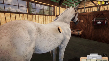 Animal Shelter - Horse Shelter (Steam)