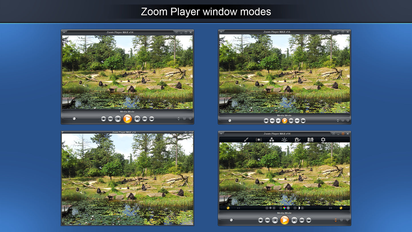 Zoom Player: Steam Edition