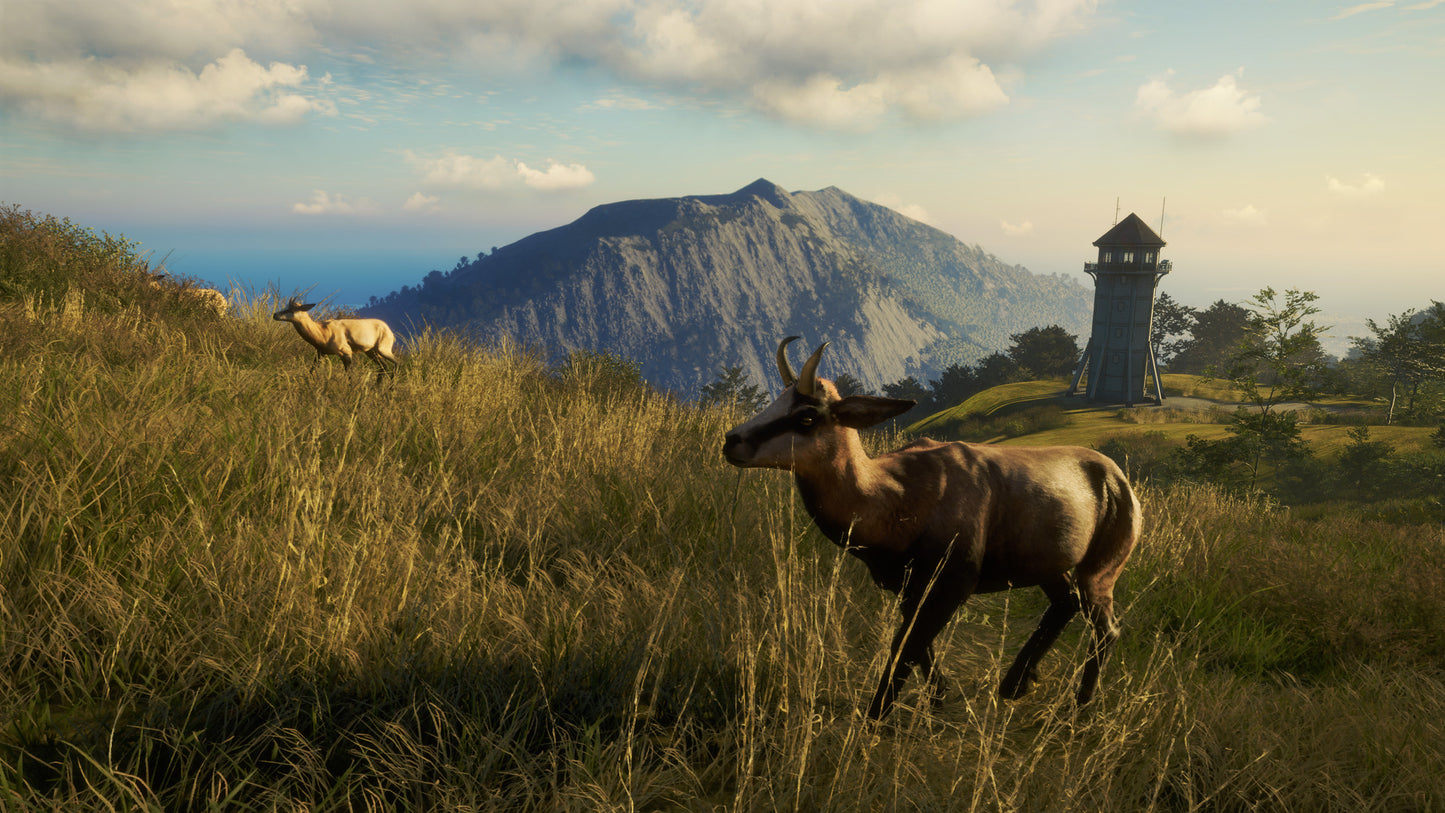 theHunter: Call of the Wild - Te Awaroa National Park (DLC)