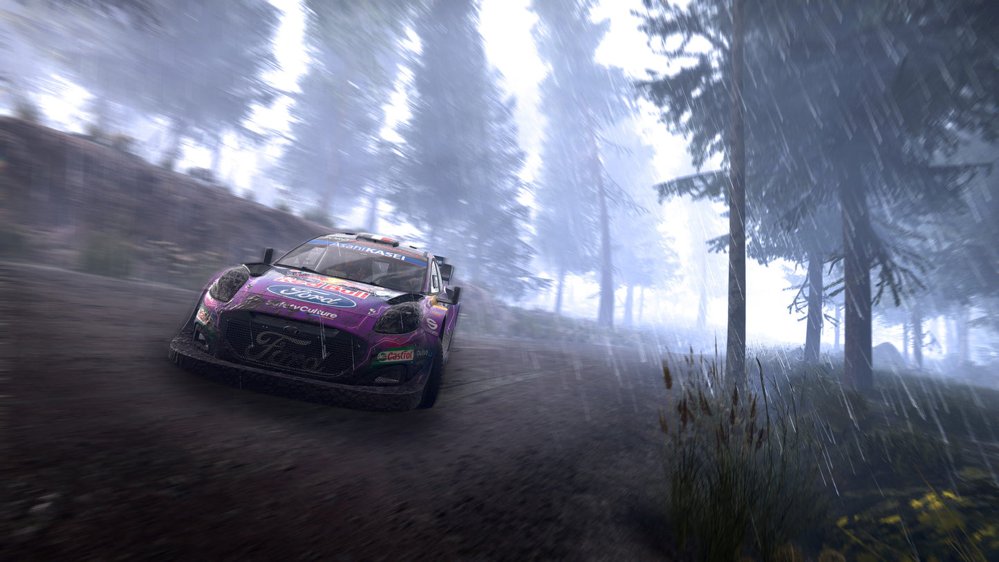 WRC Generations (Steam) (EU)