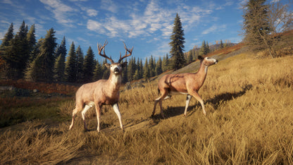 TheHunter: Call of the Wild (EU)