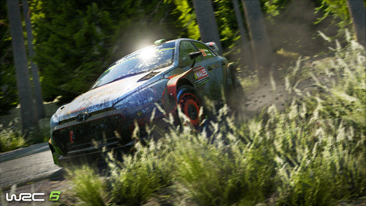 WRC 6