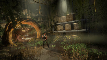 Secret World Legends: Dawn of the Morninglight (Collector’s Edition) (Steam)