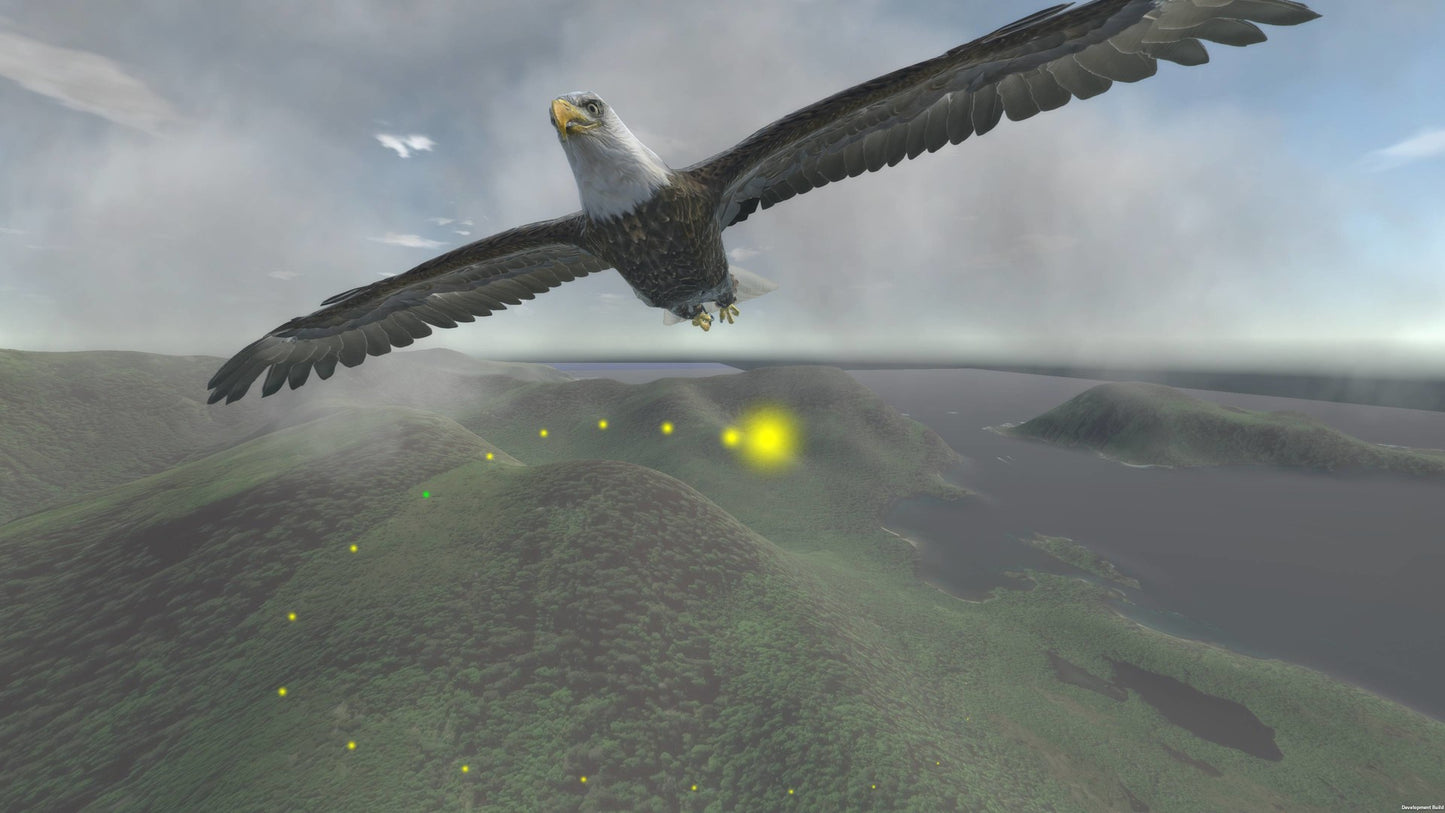 Aquila Bird Flight Simulator [VR]