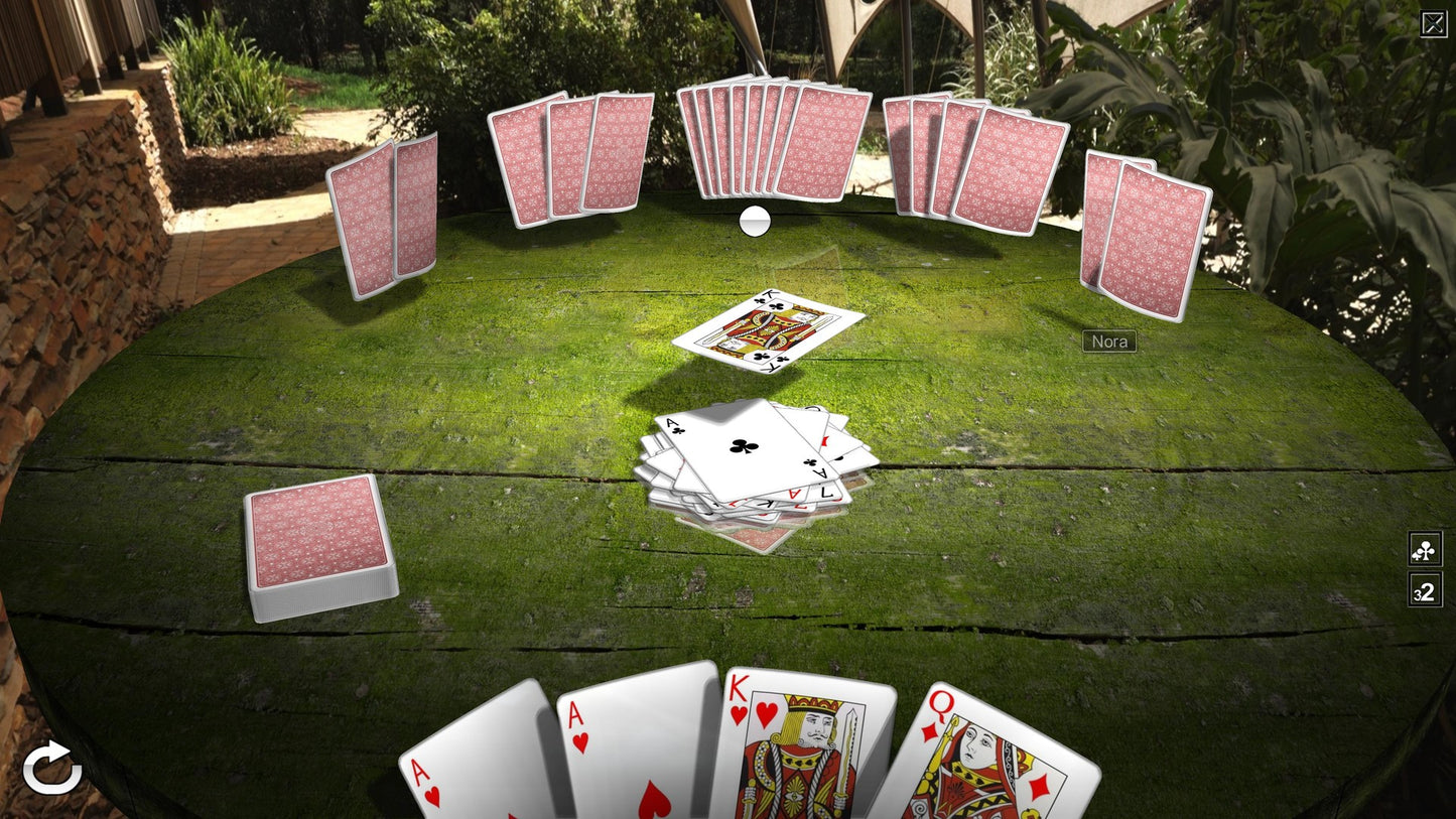 Crazy Eights 3D Premium