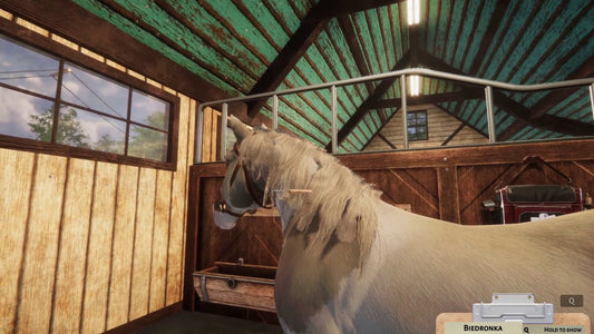 Animal Shelter - Horse Shelter (DLC) (Steam)