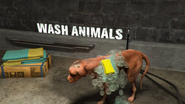 Animal Shelter (Steam)