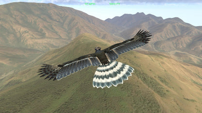 Aquila Bird Flight Simulator [VR]