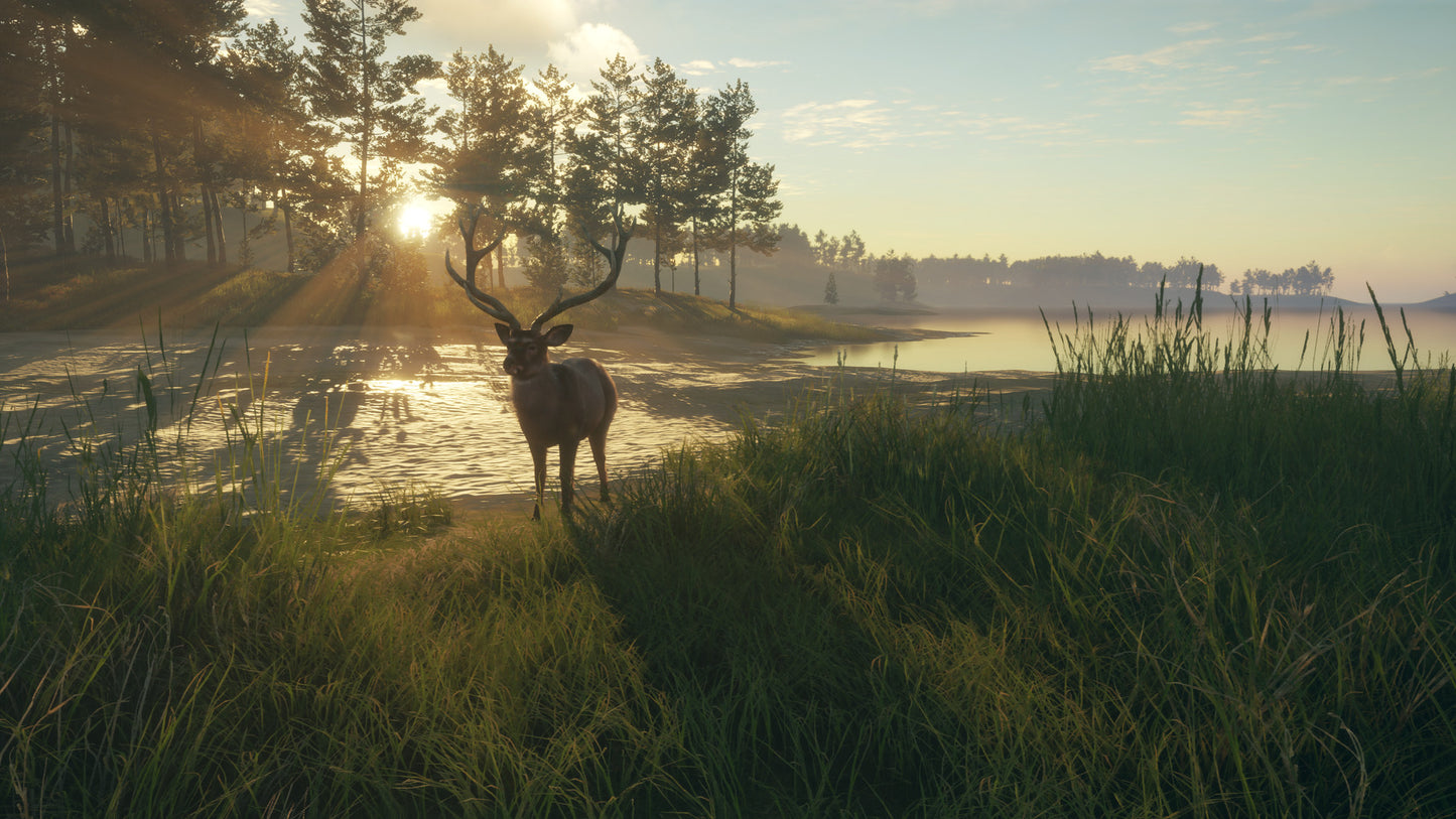 theHunter: Call of the Wild - Te Awaroa National Park (DLC)