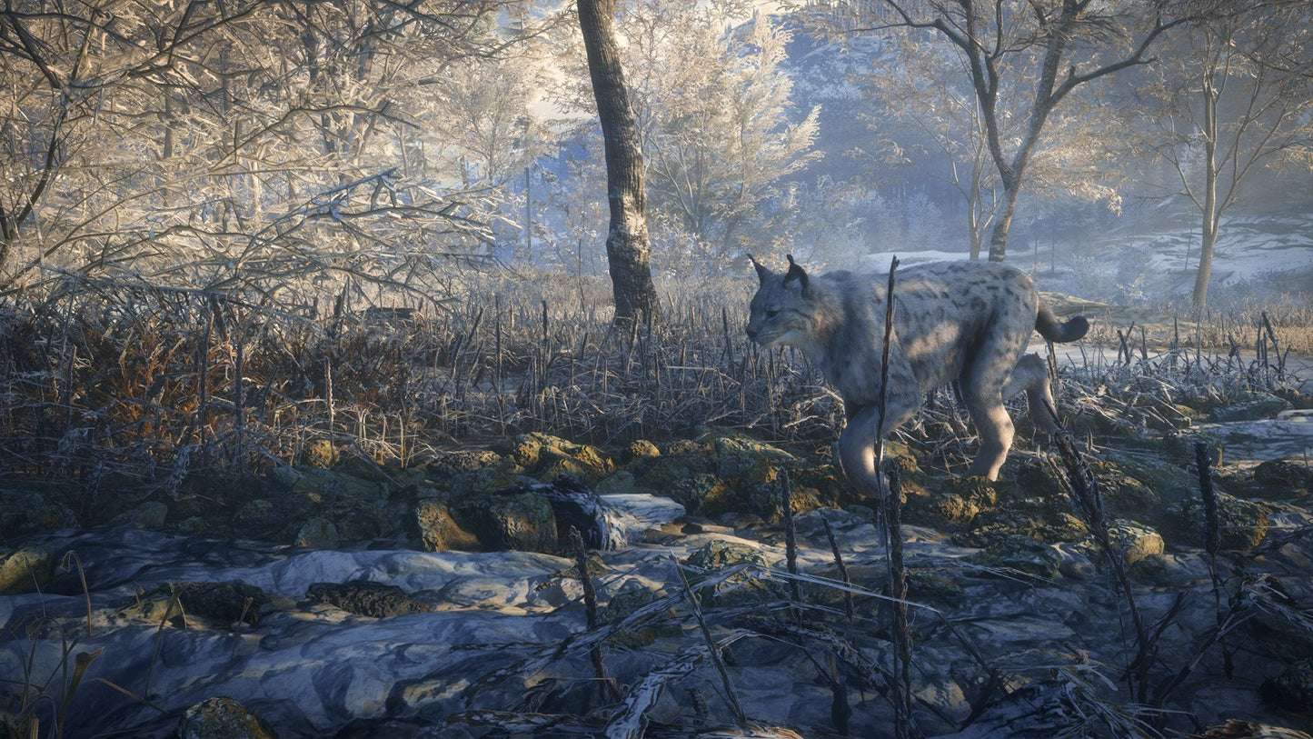 theHunter: Call of the Wild - Medved-Taiga (DLC)