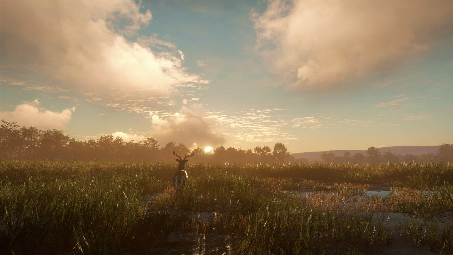 theHunter: Call of the Wild - Mississippi Acres Preserve (DLC)