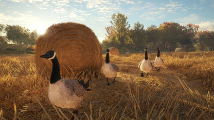 theHunter: Call of the Wild - Wild Goose Chase Gear (DLC)