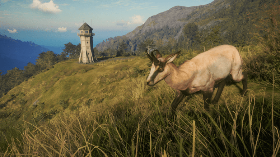 theHunter: Call of the Wild - Te Awaroa National Park (DLC)