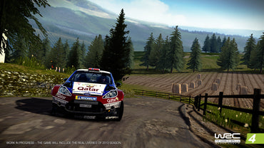 WRC: FIA World Rally Championship 4